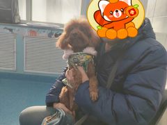 -北京赛佳动物医院