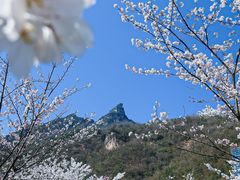 -高岚大峡谷旅游度假区