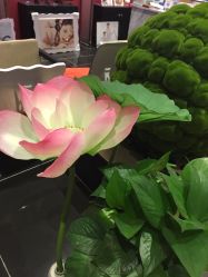 -盘子女人坊(珠海拱北旗舰店)