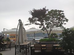 -JF Garden(渔人码头店)