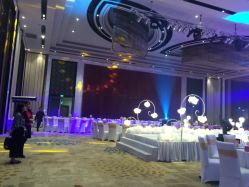 -M'S BANQUET AND SPACE ART