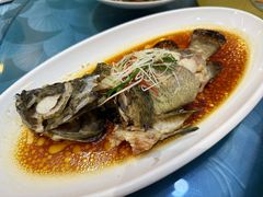 -大众海鲜(巨龙北路店)