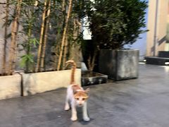 -Pilates ProWorks普拉提健身馆