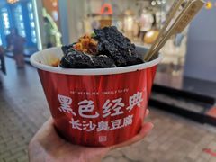 -黑色经典臭豆腐·湖南特产(潇湘文化店)