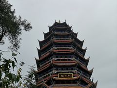 -铁山坪森林公园