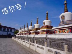 -塔尔寺游客服务中心