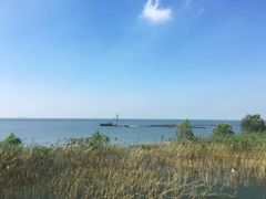 -合肥滨湖国家森林公园