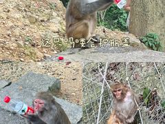 -黔灵山公园