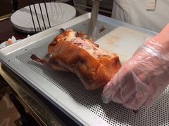 -青叶202都市餐厅(迪诺水镇店)