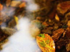 -宁波五龙潭景区