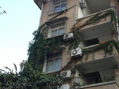 景点-白鹭洲公园