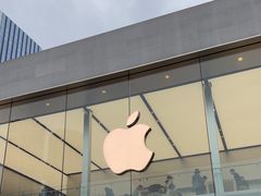 -Apple零售店(成都太古里店)