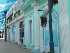 -芜湖新华联大白鲸海洋公园