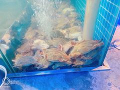 -曼格活海鲜·牛排自助(光明蓝鲸店)
