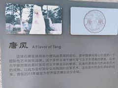 -中国唐苑