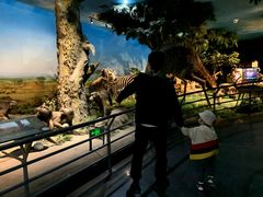 -国家自然博物馆