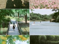 -长广溪湿地公园
