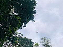 -海心沙亚运公园