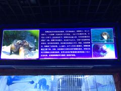 -左海海底世界