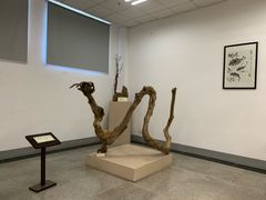 -岳阳市博物馆