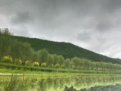 -青龙渔业旅游景区
