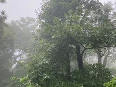 -终南山南五台景区