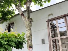 -东信·和创园