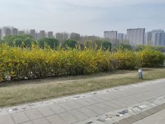 -沙澧河风景区