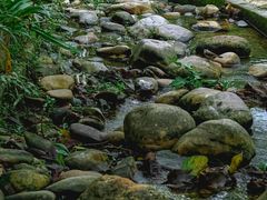 -燕晗山郊野公园