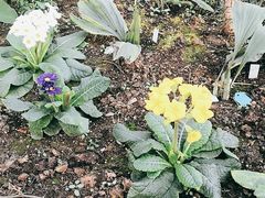 -国家植物园南园