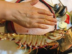 -鲜入围煮花胶鸡海鲜火锅