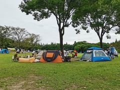 -上海滨江森林公园