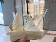 -野人先生Gelato(上海长宁龙之梦店)