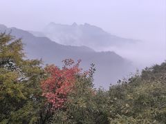 -秦岭终南山世界地质公园翠华山景区