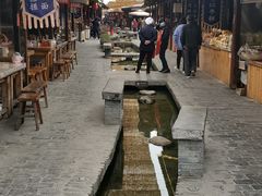 -茯茶镇