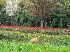 -宁波儿童公园(鄞州区)