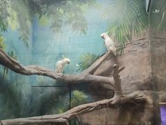 -福州罗源湾海洋世界旅游区