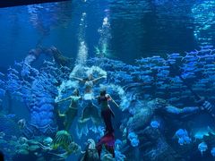 -哈尔滨波塞冬海底世界