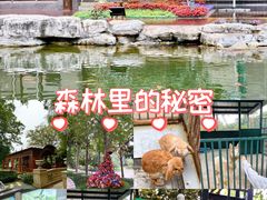 -青岛鑫江温德姆酒店