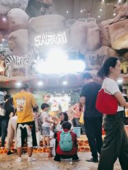 -卡通尼·Safari非洲探索乐园·生日会(金桥国际商业广场店)