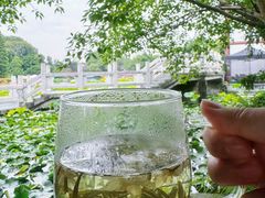 -桂湖森林公园