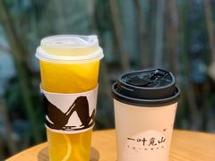 -一叶觅山(半边街店)