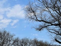 -东华门大街小区