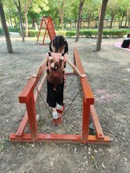 -优沃得自然教育农场·冰雪乐园·生日会·研学