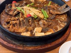 -老板恋上鱼(恒隆广场店)