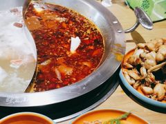 -铭记蛙小仙·活蛙畅享(CBD万达广场店)