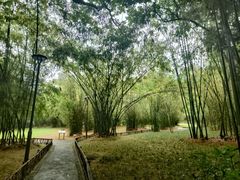 -深圳仙湖植物园