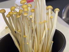 -海底捞火锅(吾悦国际广场店)