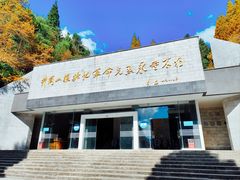 -井冈山革命烈士陵园