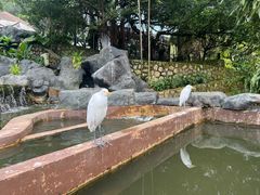 -吉隆坡雀鸟公园